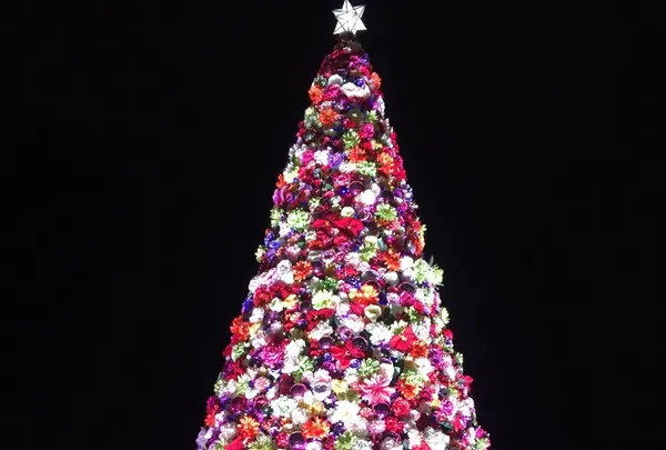 東京ソラマチの写真・動画_image_283933