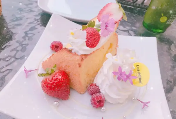 ラストシフォン （Last chiffon）の写真・動画_image_284495
