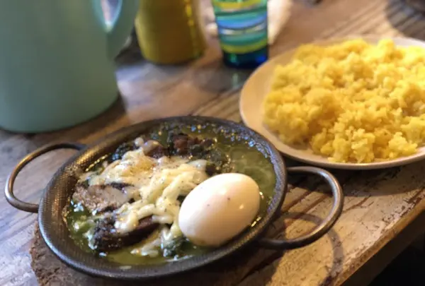 ヨゴロウ （YOGORO） の写真・動画_image_284597