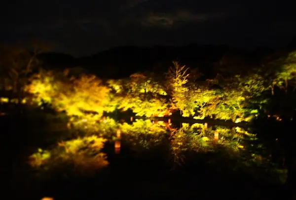 御船山楽園の写真・動画_image_284728