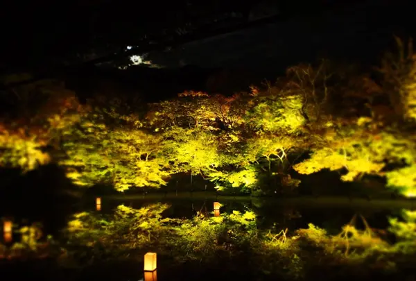 御船山楽園の写真・動画_image_284729