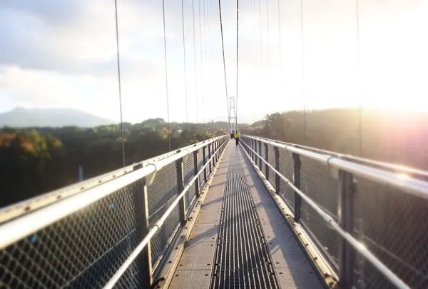 九重“夢”大吊橋の写真・動画_image_284742