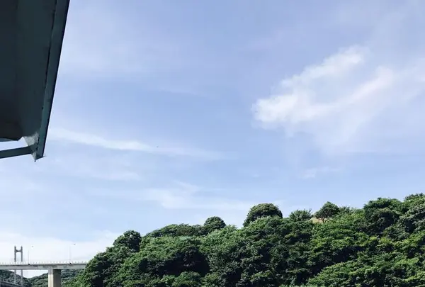 呼子萬坊の写真・動画_image_284781