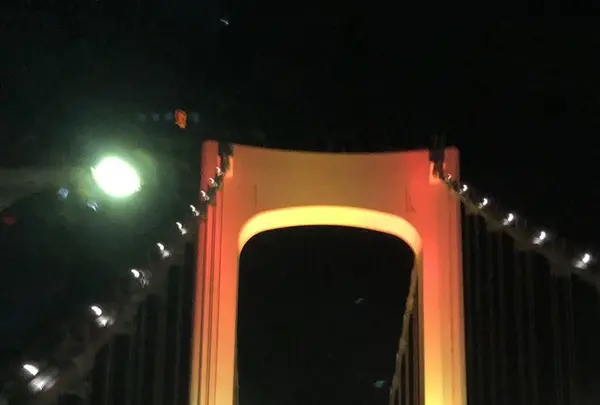 レインボーブリッジの写真・動画_image_284997