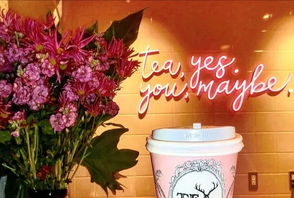 【閉業】アルフレッドティールーム 青山本店 （ALFRED TEA ROOM） の写真・動画_image_285063