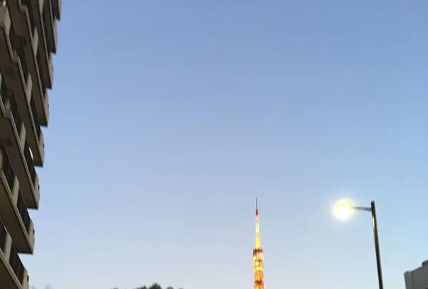 東京タワーの写真・動画_image_285464