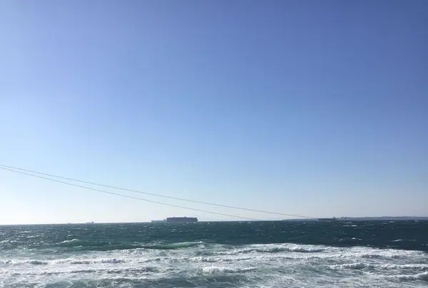 東京湾フェリー久里浜港の写真・動画_image_285756