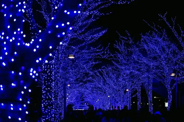 青の洞窟 SHIBUYAの写真・動画_image_286715