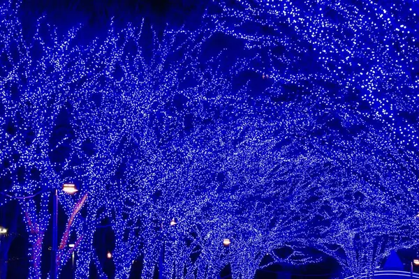 青の洞窟 SHIBUYAの写真・動画_image_286717