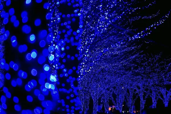 青の洞窟 SHIBUYAの写真・動画_image_286719