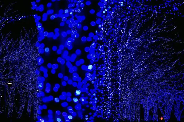 青の洞窟 SHIBUYAの写真・動画_image_286720