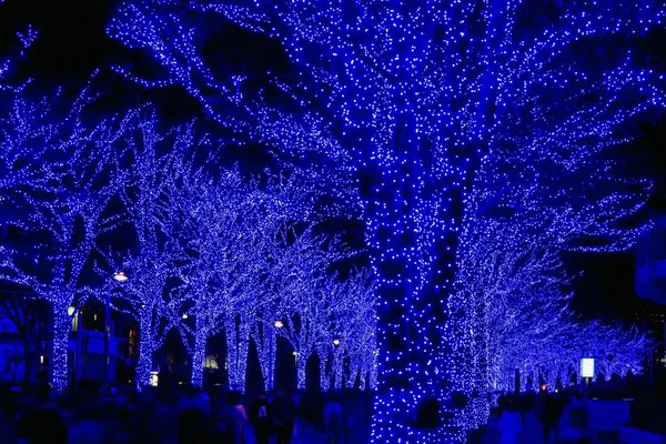 青の洞窟 SHIBUYAの写真・動画_image_286722