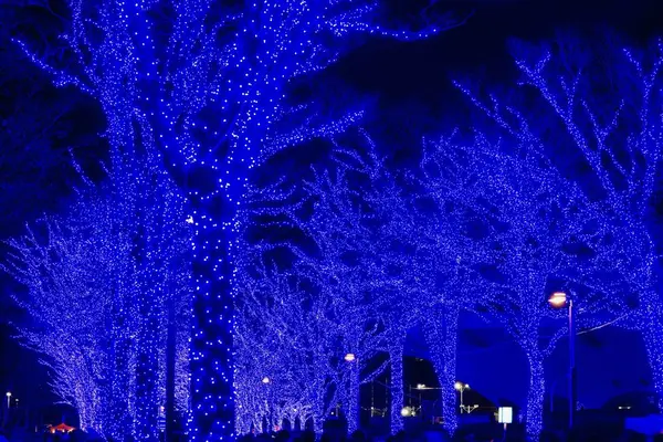 青の洞窟 SHIBUYAの写真・動画_image_286723