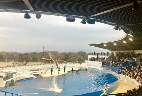 京都水族館の写真・動画_image_287960