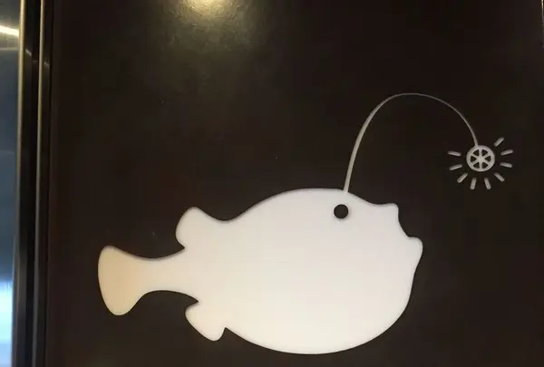 KINKA sushi bar izakayaの写真・動画_image_288395