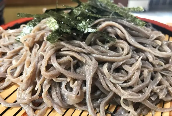 あお木の写真・動画_image_288507