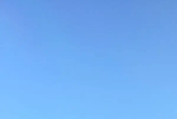 カキ小屋の写真・動画_image_289551