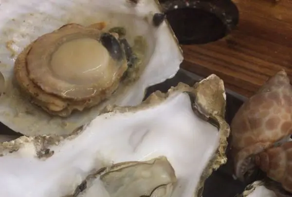 カキ小屋の写真・動画_image_289553