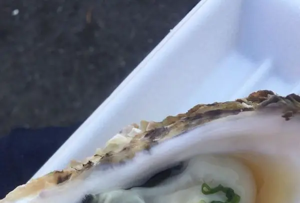 カキ小屋の写真・動画_image_289554