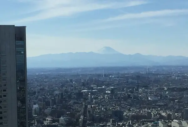 パーク ハイアット 東京の写真・動画_image_289701