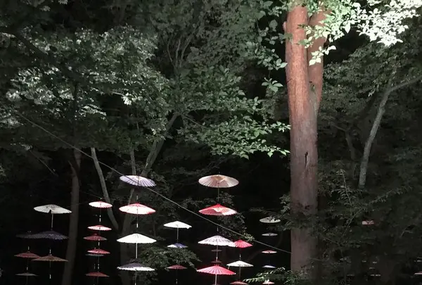 一富士の写真・動画_image_289852
