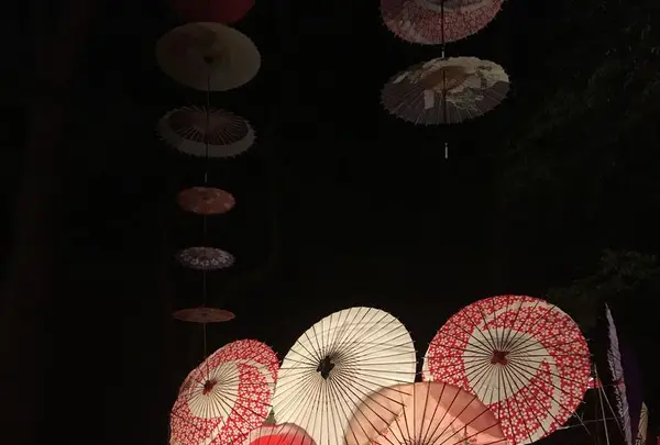 一富士の写真・動画_image_289853