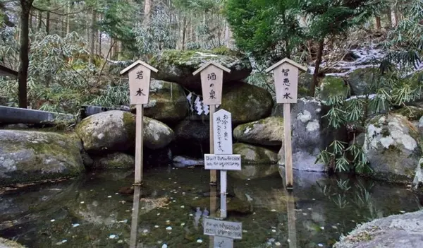 日光東照宮の写真・動画_image_290014