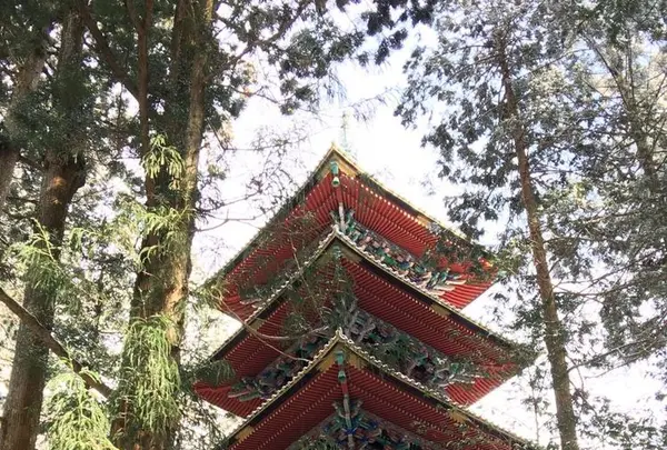 日光東照宮の写真・動画_image_290018