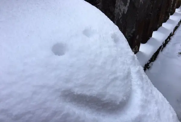 日光東照宮の写真・動画_image_290023