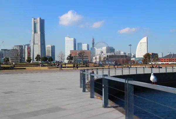 横浜中華街の写真・動画_image_290282