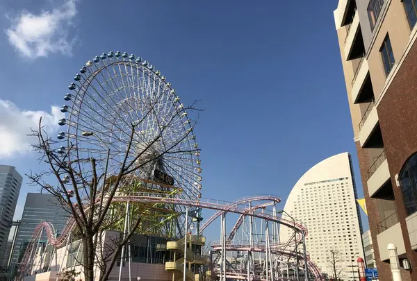 横浜中華街の写真・動画_image_290285