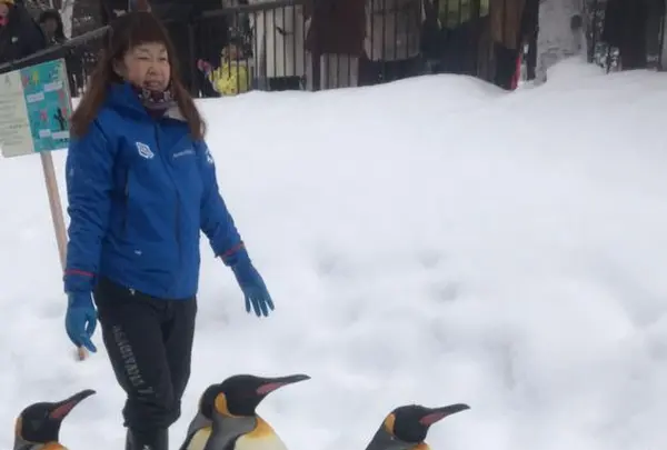 旭川市 旭山動物園の写真・動画_image_290367