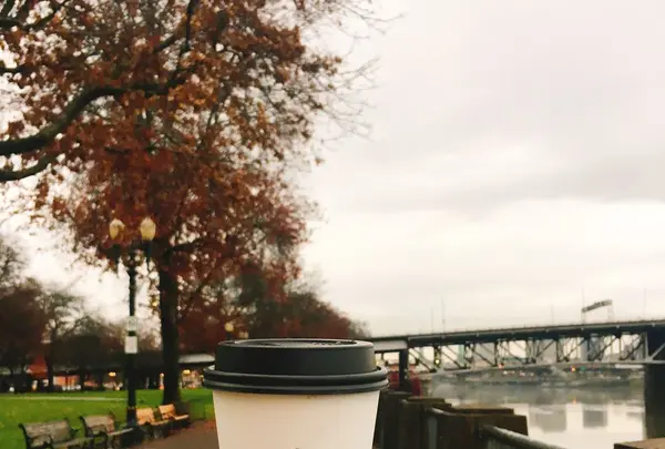 40 LBS Coffee Barの写真・動画_image_290525