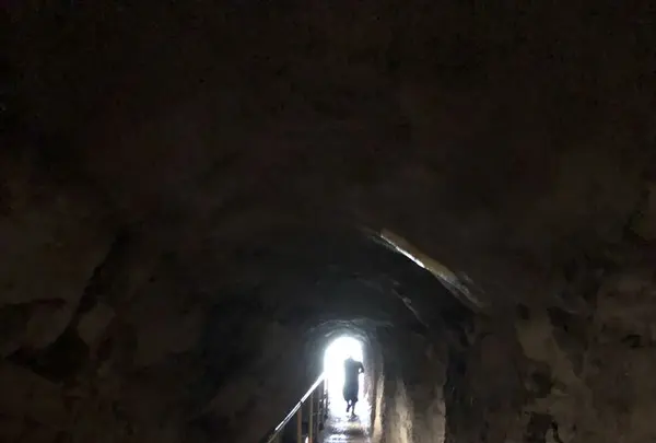 Diamond head（ダイヤモンド・ヘッド）の写真・動画_image_290628