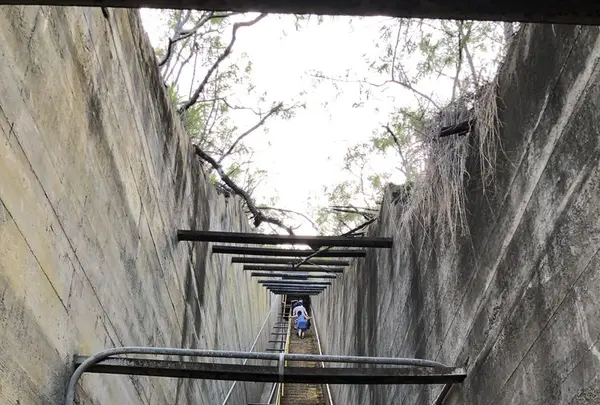 Diamond head（ダイヤモンド・ヘッド）の写真・動画_image_290629