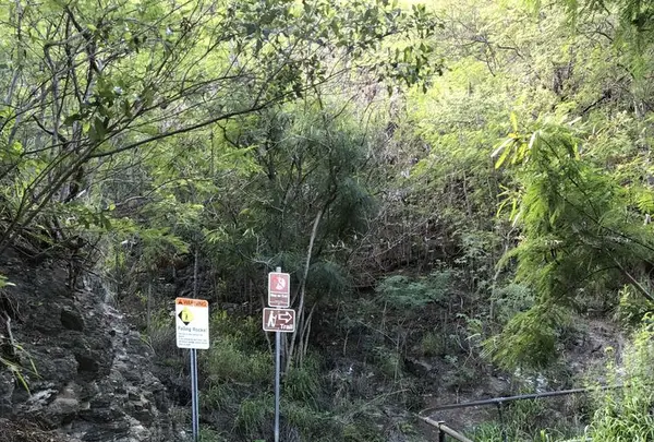 Diamond head（ダイヤモンド・ヘッド）の写真・動画_image_290630