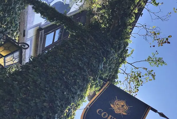 パペルブルグの写真・動画_image_290710