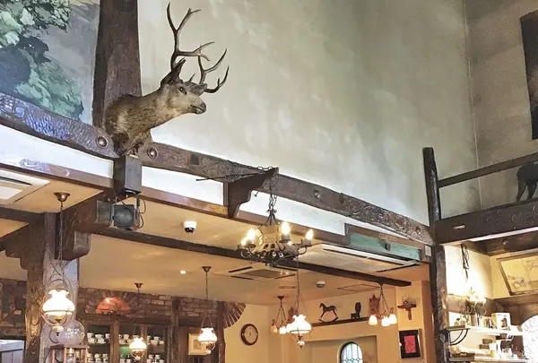 パペルブルグの写真・動画_image_290711