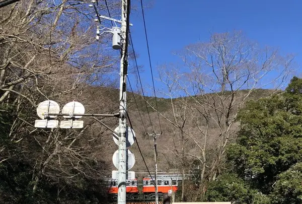 金乃竹塔ノ沢の写真・動画_image_291387