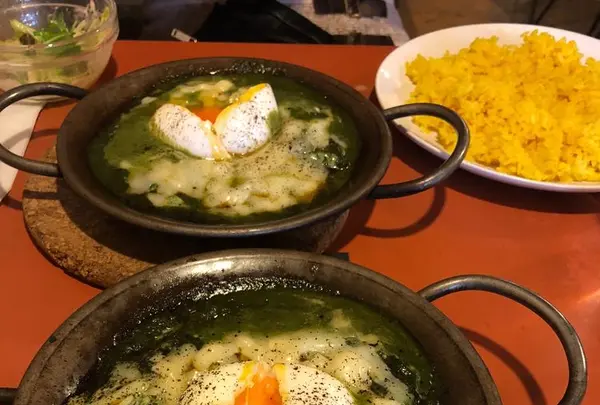 ヨゴロウ （YOGORO） の写真・動画_image_293118