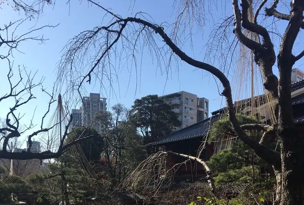 芝とうふ屋 うかいの写真・動画_image_293725