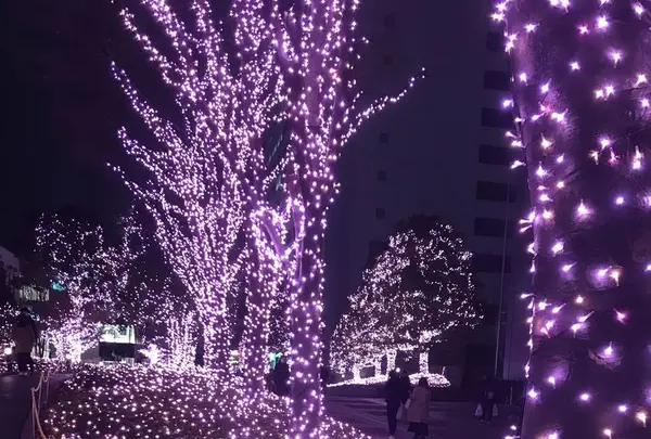 サザンライツ 新宿サザンテラスの写真・動画_image_294626