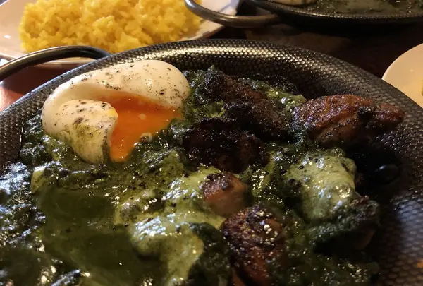 ヨゴロウ （YOGORO） の写真・動画_image_294843