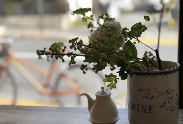 HIBUSUMAの写真・動画_image_295876