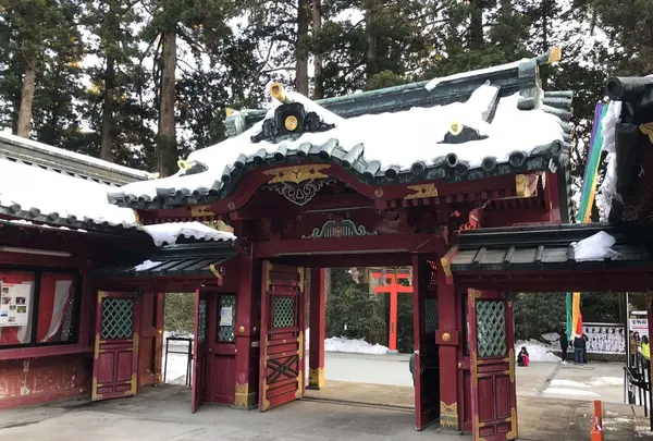 箱根神社の写真・動画_image_297025