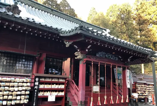 箱根神社の写真・動画_image_297026