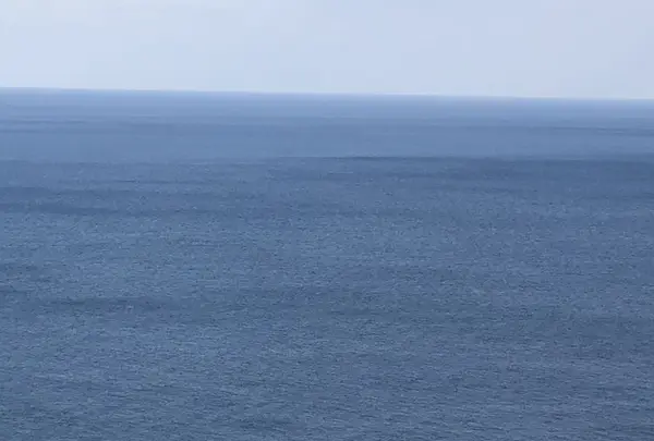 サンメッセ日南の写真・動画_image_297031