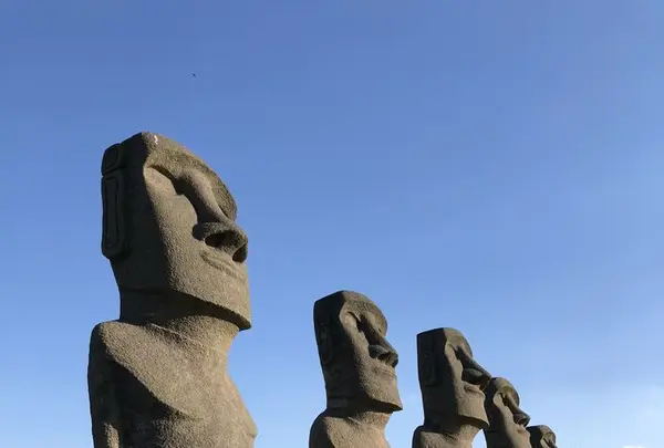 サンメッセ日南の写真・動画_image_297035