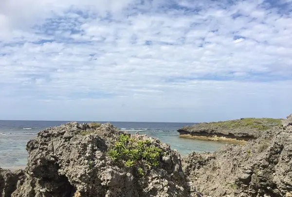 万座毛の写真・動画_image_298007