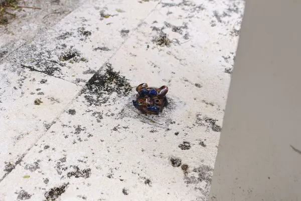 壺屋やちむん通りの写真・動画_image_298069